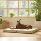 Orthopedic Dog Bed product image 62