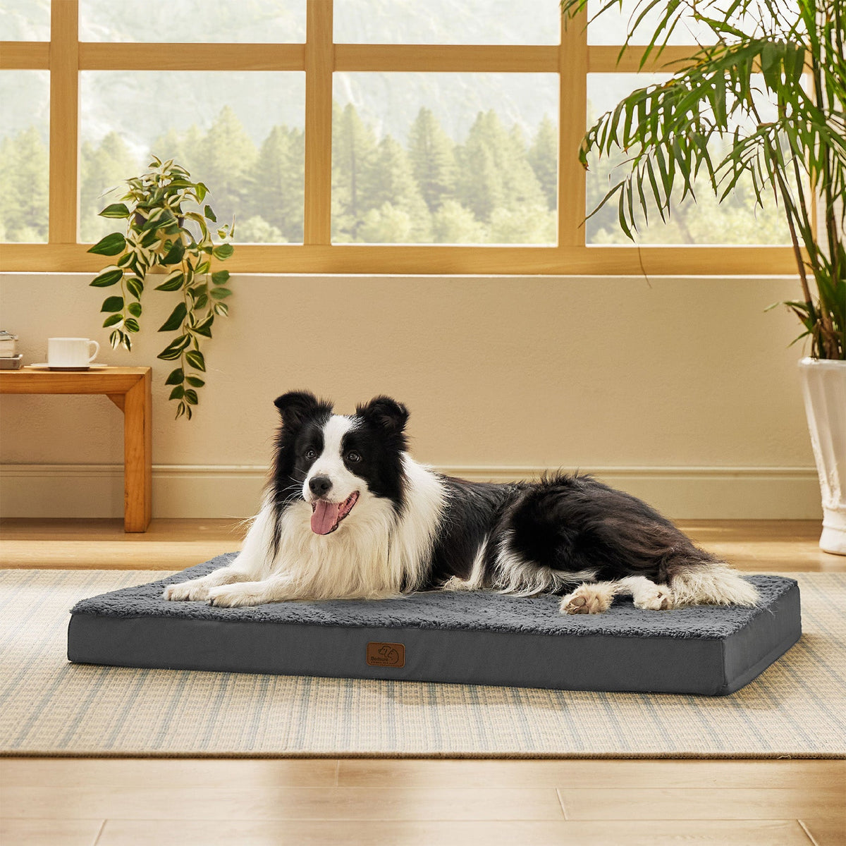 Orthopedic Dog Bed product image 70