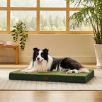 Orthopedic Dog Bed product image 84