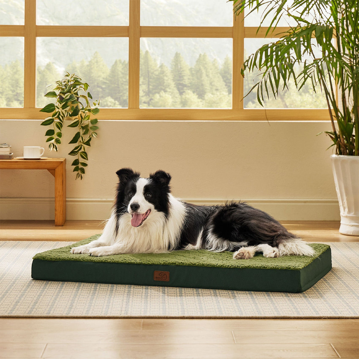 Orthopedic Dog Bed product image 84
