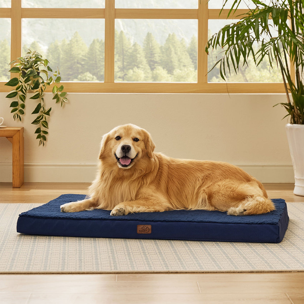 Orthopedic Dog Bed product image 102