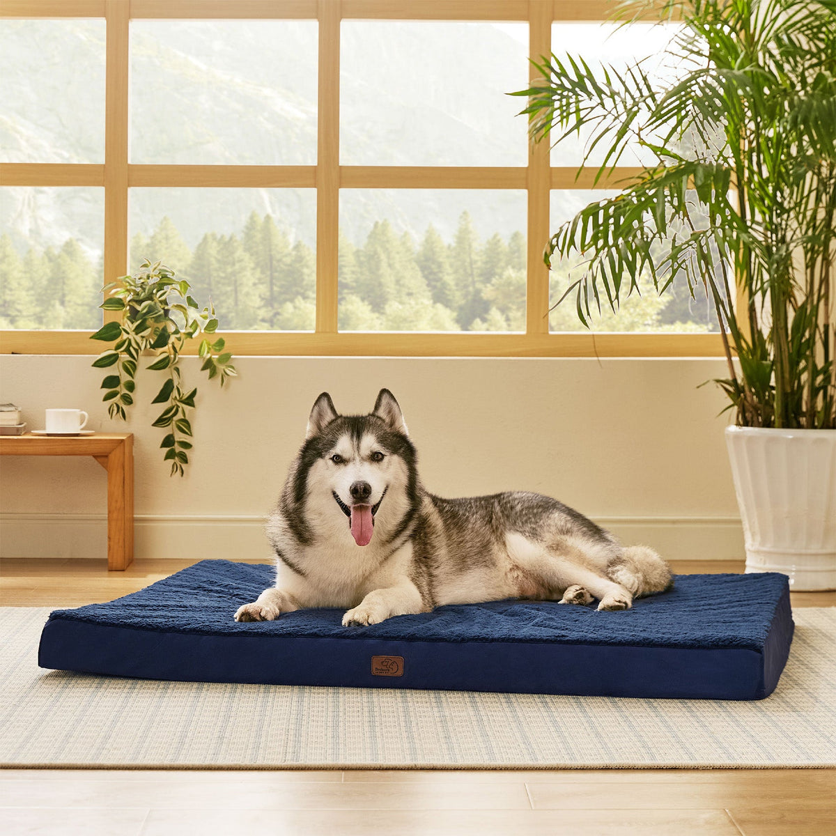 Orthopedic Dog Bed product image 104
