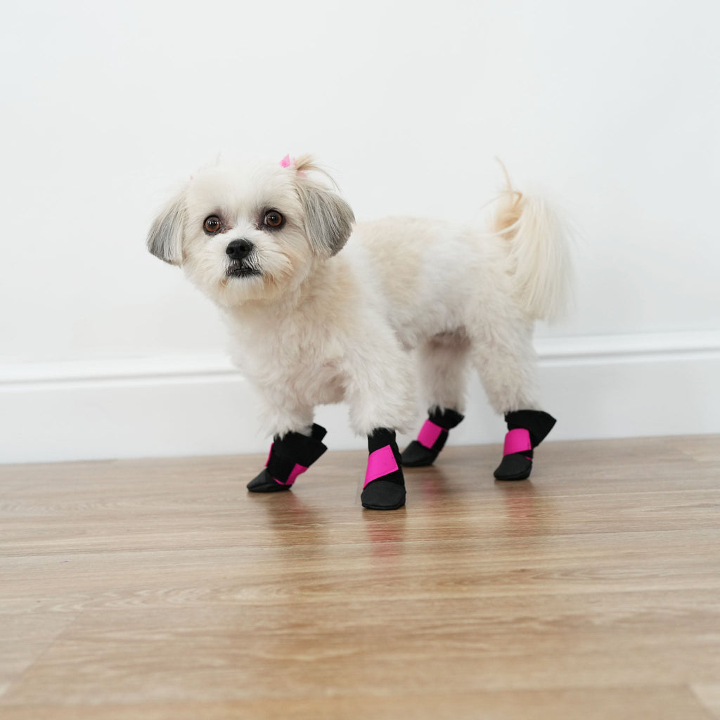 Dog Booties product image 1