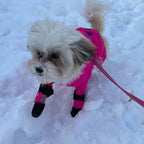 Dog Booties product image 4