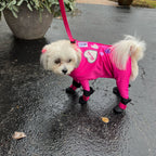 Dog Booties product image 6