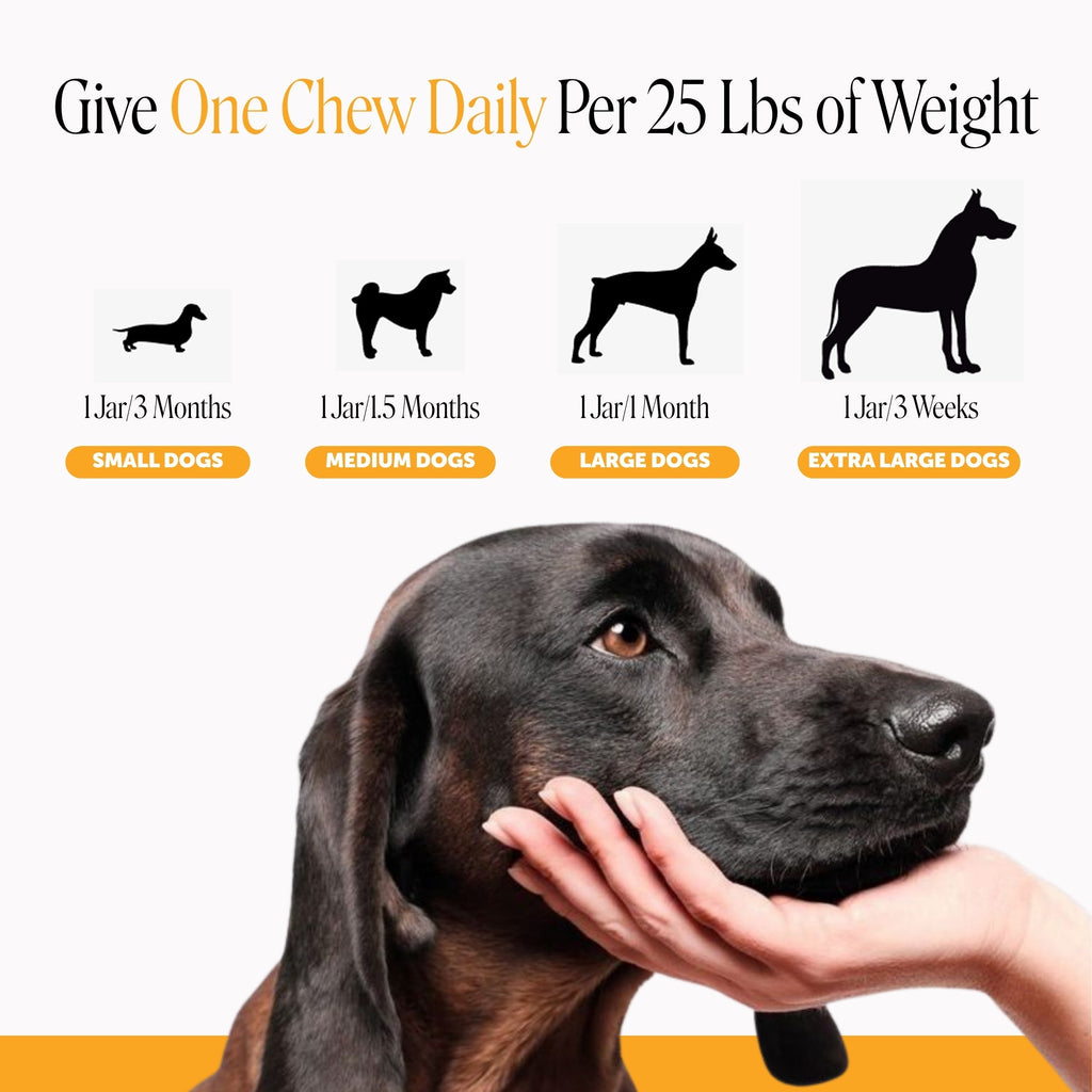 Dog Allergy and Skin Soft Chews product image 6