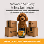 Dog Allergy and Skin Soft Chews product image 7