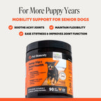 Senior Dog Hip and Joint Soft Chews product image 2