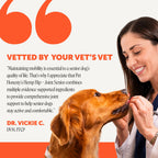 Senior Dog Hip and Joint Soft Chews product image 4