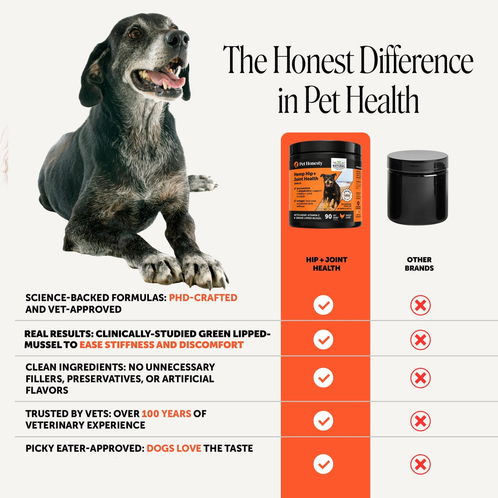 Senior Dog Hip and Joint Soft Chews product image 5