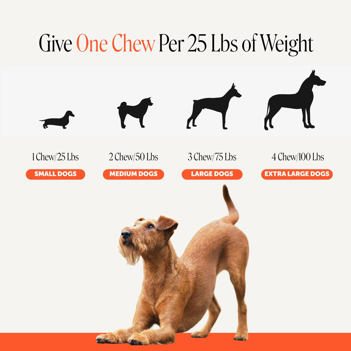 Senior Dog Hip and Joint Soft Chews product image 6