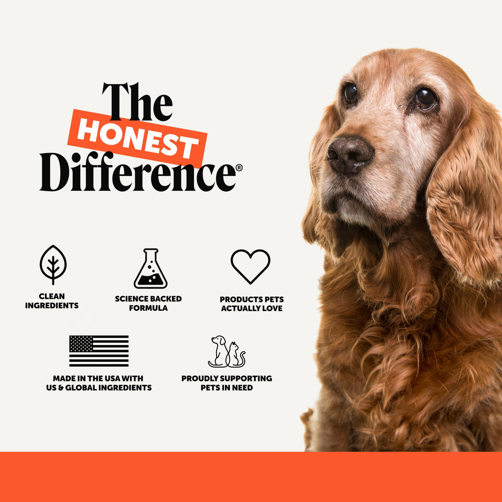Senior Dog Hip and Joint Soft Chews product image 7