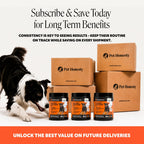 Senior Dog Hip and Joint Soft Chews product image 8