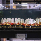 Tiger Lotus Bulb product image 3