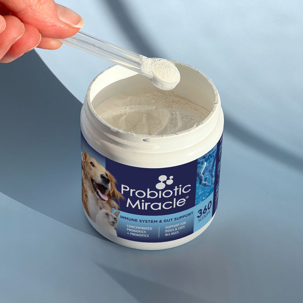 Dog and Cat Probiotic Powder product image 1