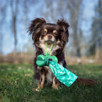 Dog and Cat Probiotic Powder product image 2