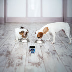 Dog and Cat Probiotic Powder product image 3