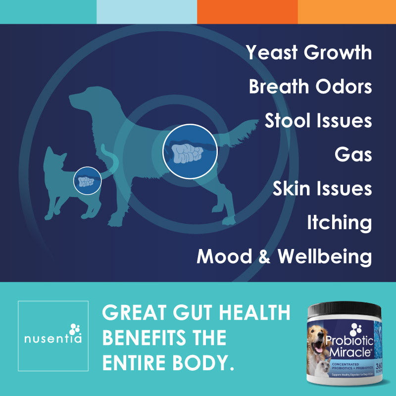 Dog and Cat Probiotic Powder product image 4