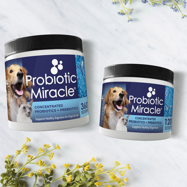 Dog and Cat Probiotic Powder product image 5