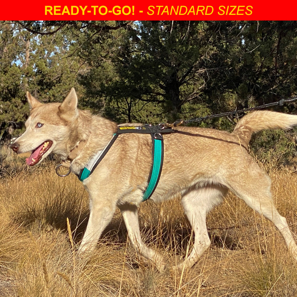 Adjustable Dog Harness product image 2