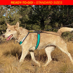 Adjustable Dog Harness product image 2