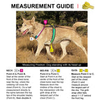 Adjustable Dog Harness product image 3