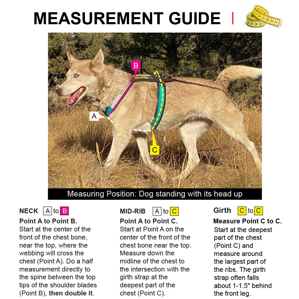 Adjustable Dog Harness product image 3