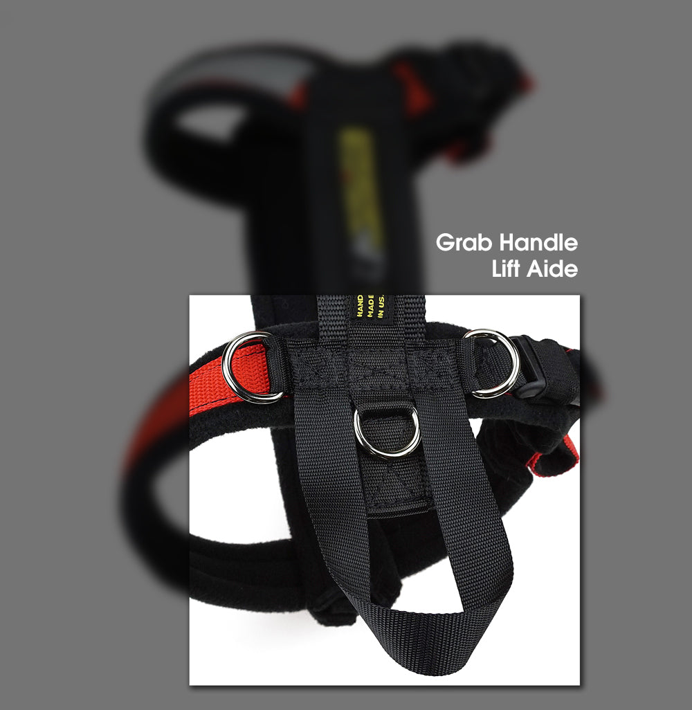 Adjustable Dog Harness product image 15