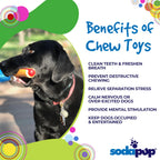Nylon Dog Chew Toy product image 3