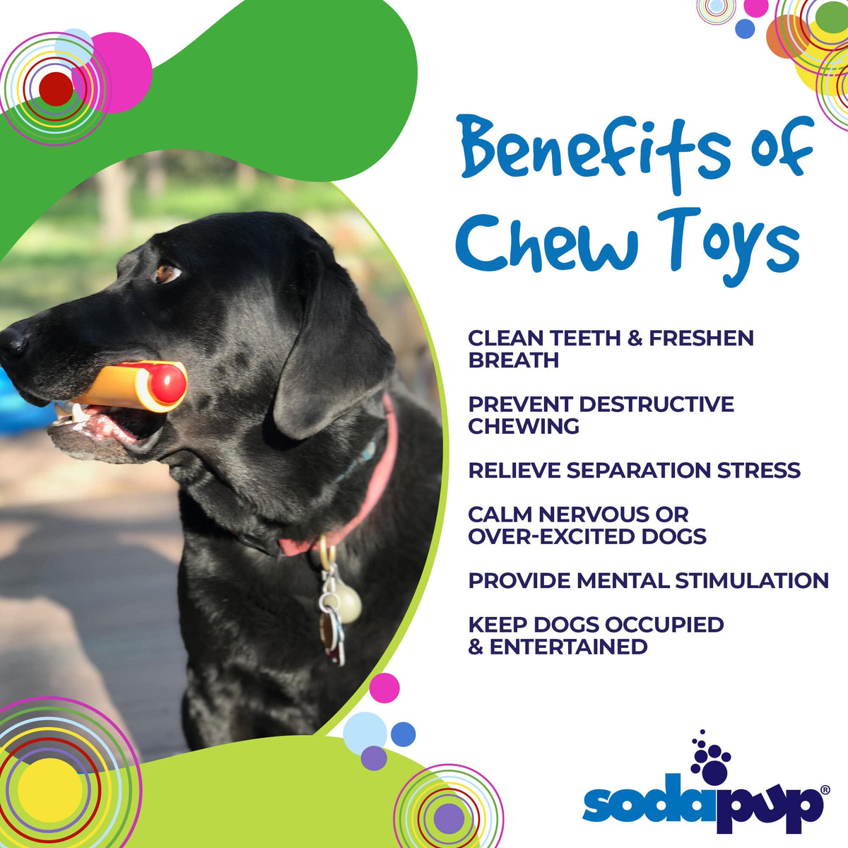 Nylon Dog Chew Toy product image 3