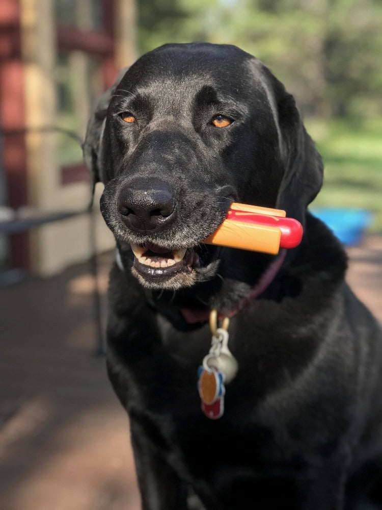 Nylon Dog Chew Toy product image 5