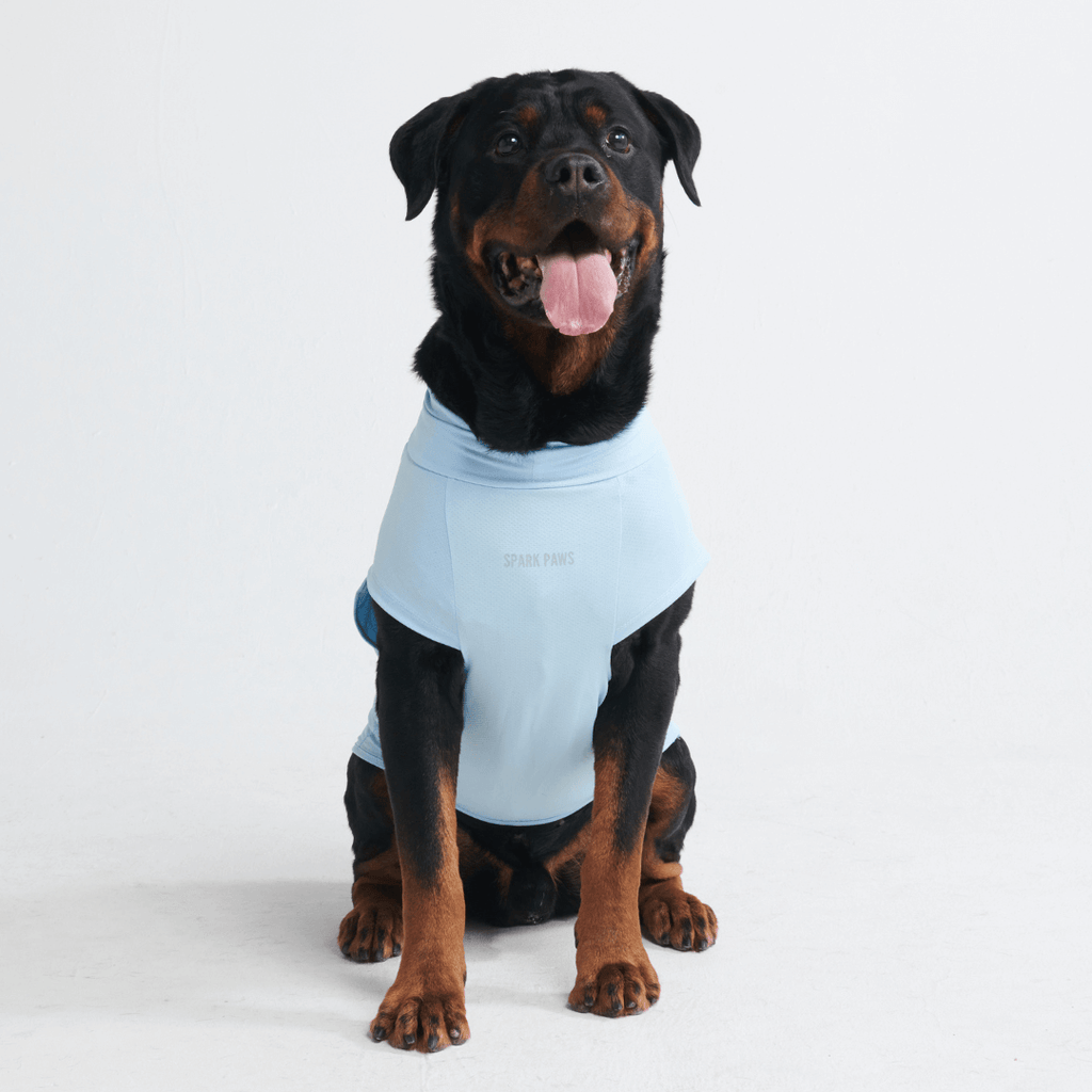 UPF 30 Dog Sun Shirt product image 14