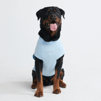 UPF 30 Dog Sun Shirt product image 14