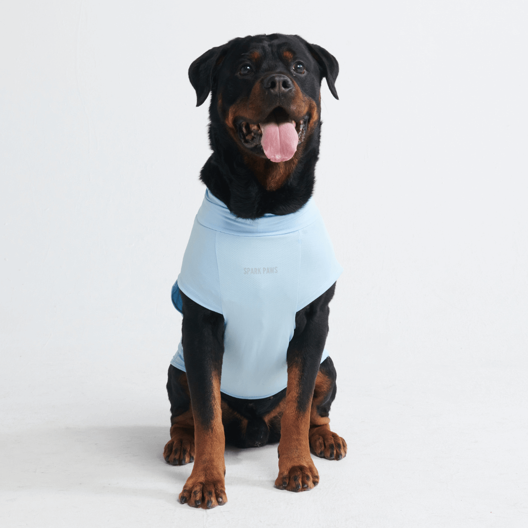 UPF 30 Dog Sun Shirt product image 14