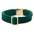 Dog Collar product image 2