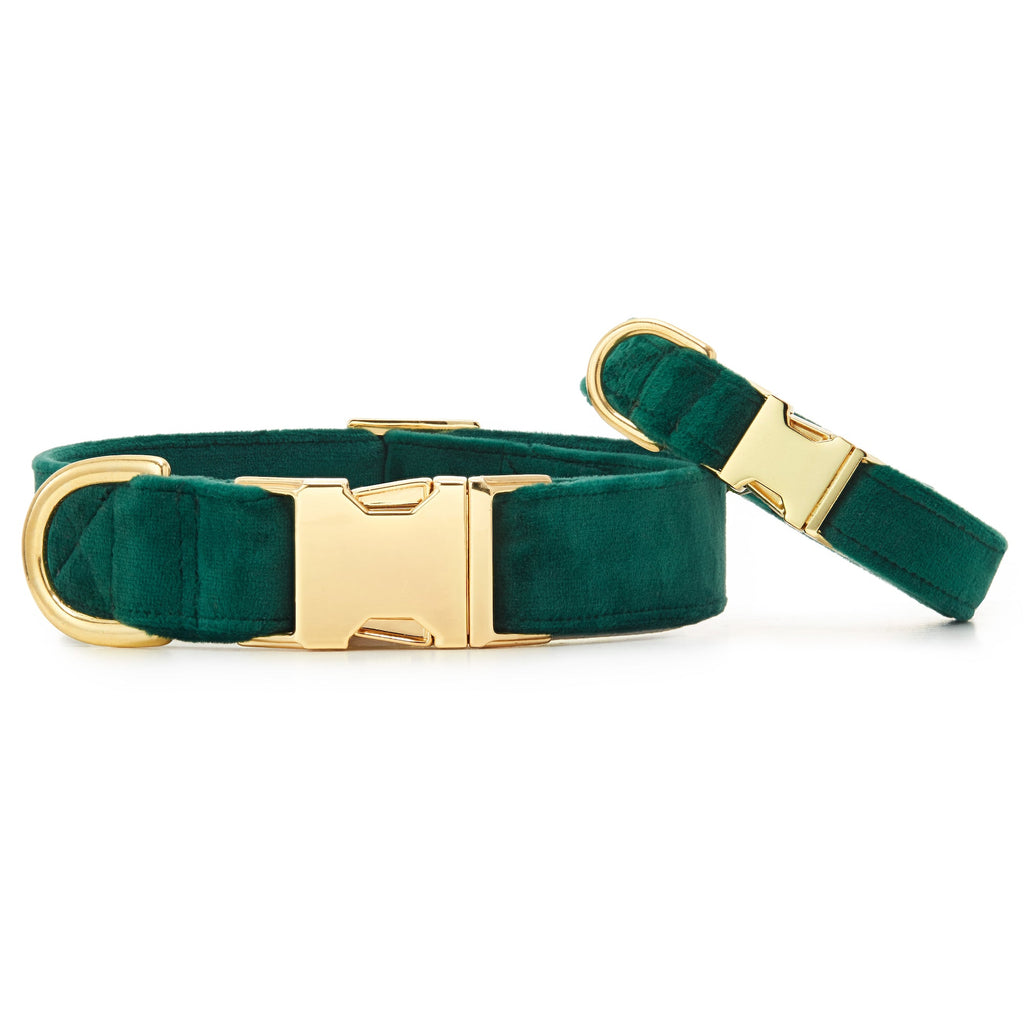 Dog Collar product image 3