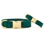 Dog Collar product image 3