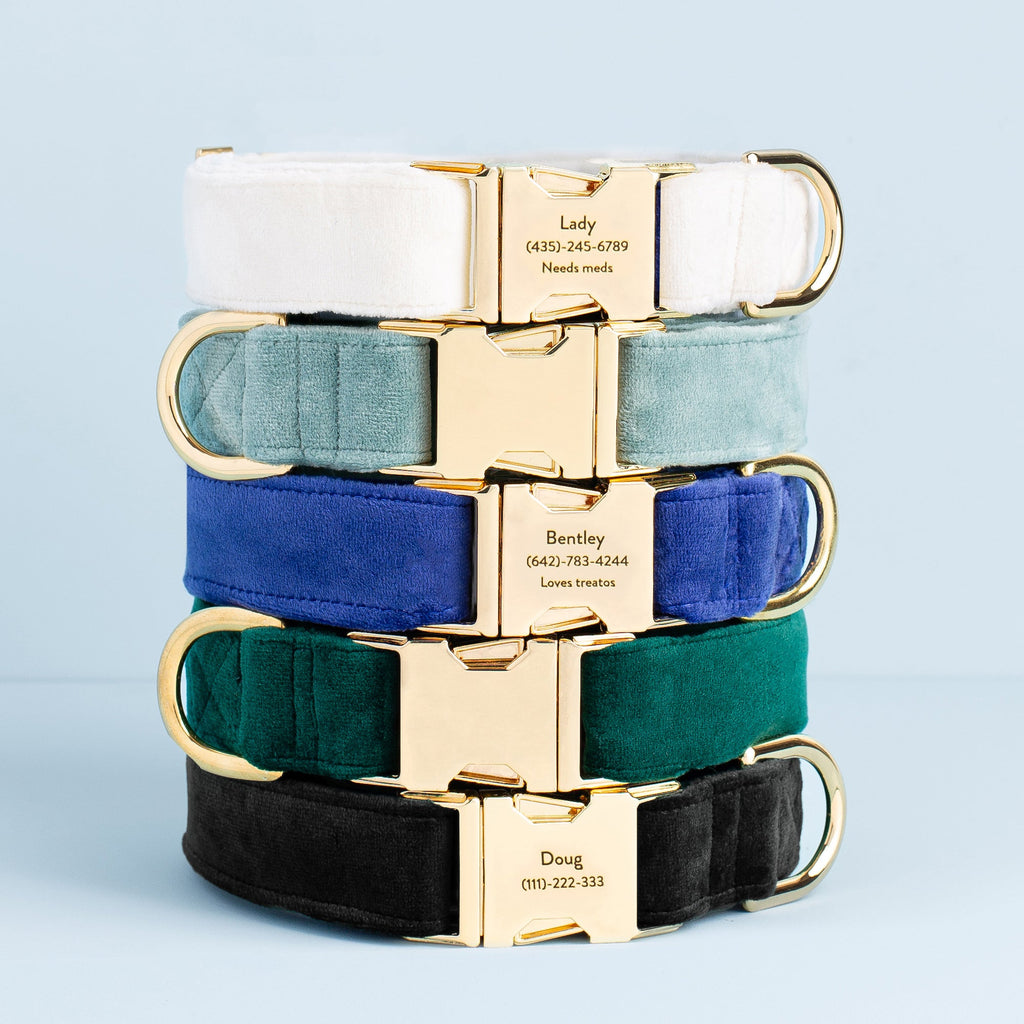 Dog Collar product image 6