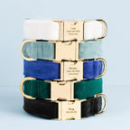 Dog Collar product image 6