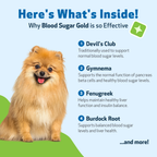 Dog Blood Sugar Supplement for Balanced Levels, Liver and Eye Support in a Gentle Liquid Formula