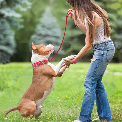 Rivet Dog Collar Bite Resistant with Leash Set, Heavy Duty Metal Buckle Pet Collar for Medium Large Dogs, Adjustable Sizes XS–XXL, Black Pink Red Blue Purple