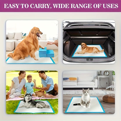 Puppy Pee Pads XXL 30x36 Inch 40 Count – 6-Layer Thickened Heavy Absorbent Disposable Dog Training Pads with Polymer Leak-Proof & Quick-Dry Technology for Dogs, Cats & Rabbits