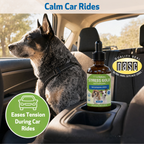 Dog calming supplement for occasional stress support during travel, loud noises, vet visits, and changes