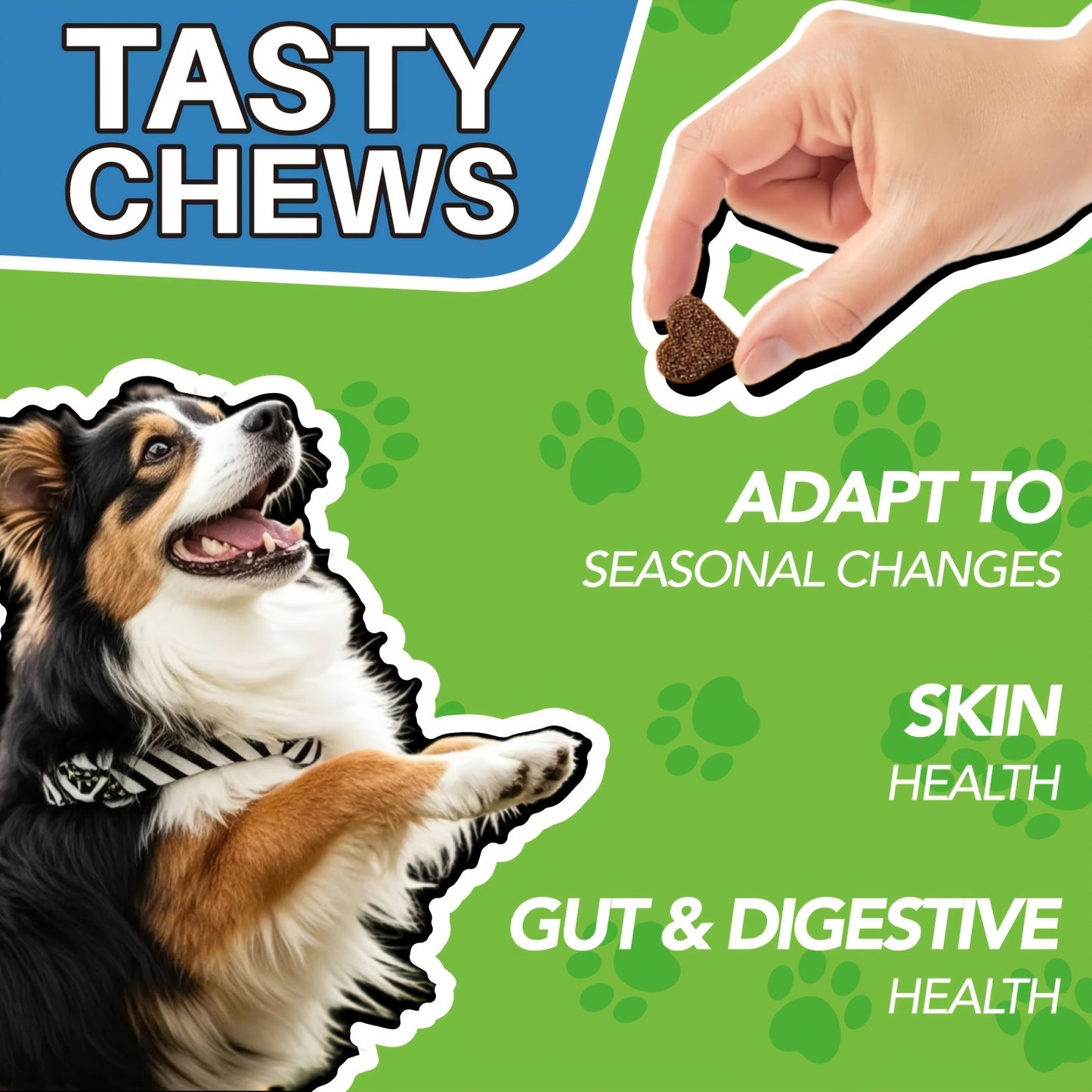 Dog Skin & Immune Probiotic Chews with Bovine Colostrum - 6 Billion CFUs, Dried Fermentate & Astragalus for Skin Calm & Immune Support, Chicken Flavor Soft Chews for All Dogs, 90 Count