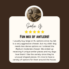 Moose Antler Dog Chew Assortment product image 3