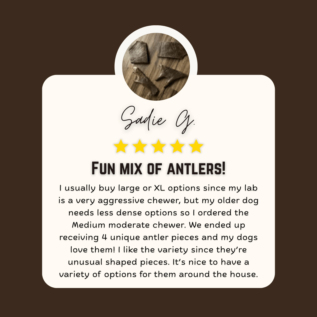 Moose Antler Dog Chew Assortment product image 3