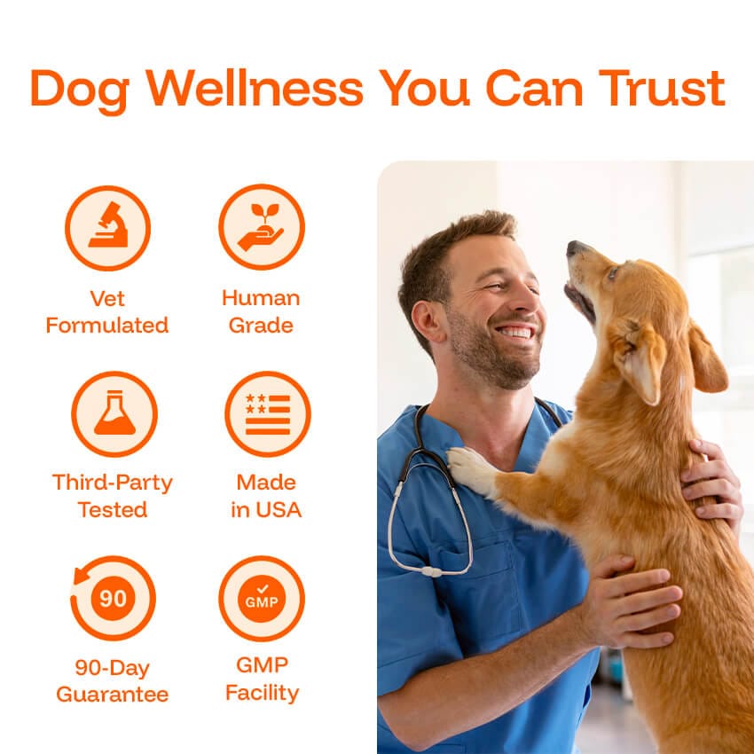 Liquid Dog Wellness Supplement product image 7