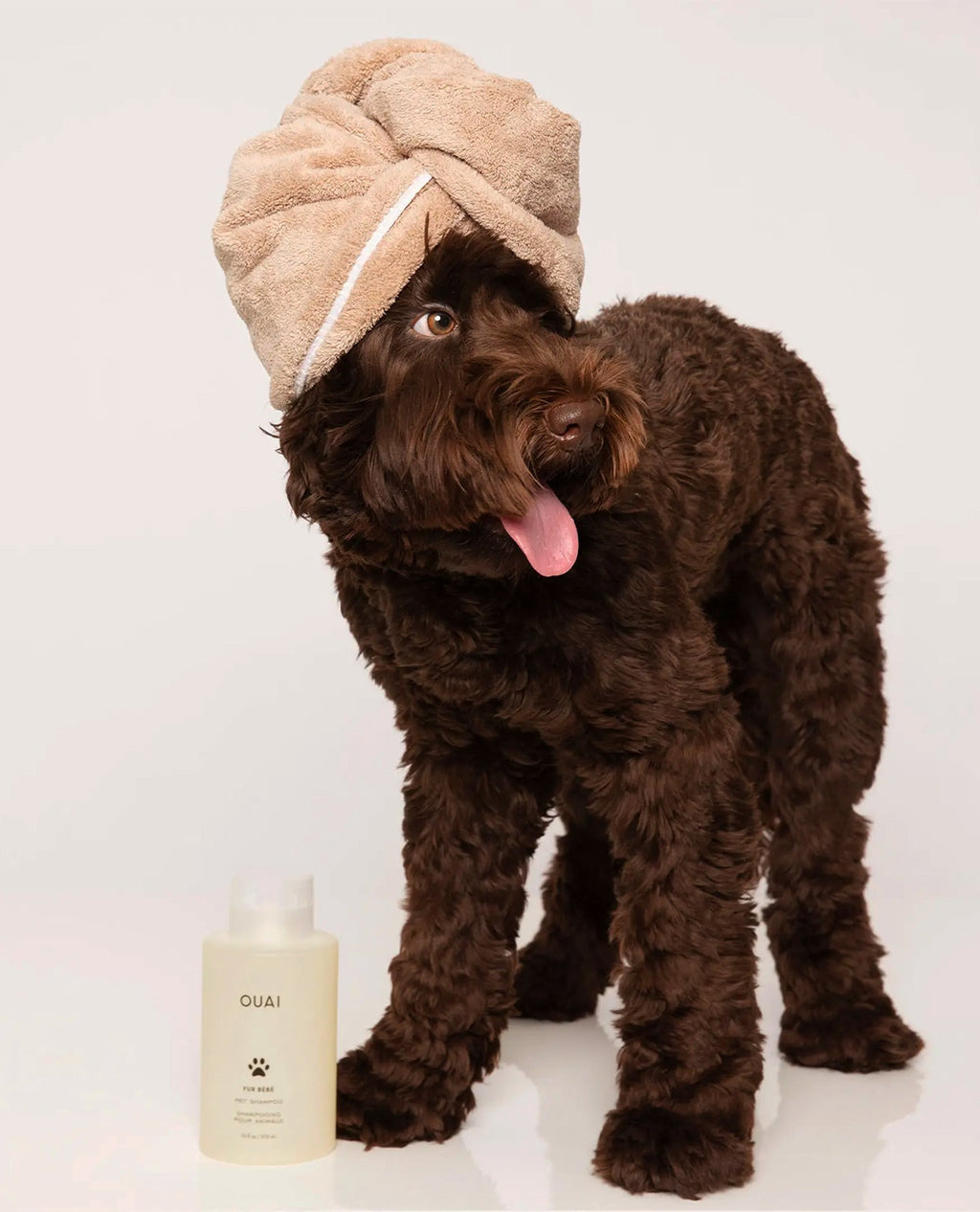Hydrating Dog and Cat Shampoo product image 7
