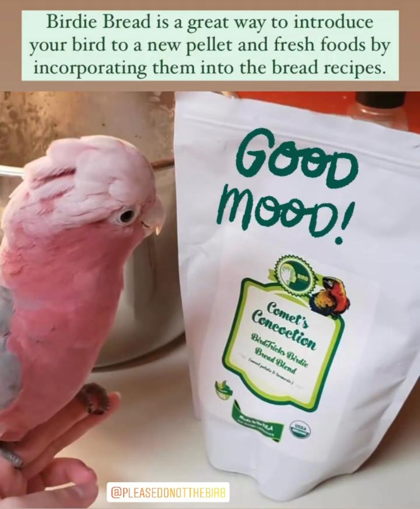 Parrot Birdie Bread Mix Bundle product image 11