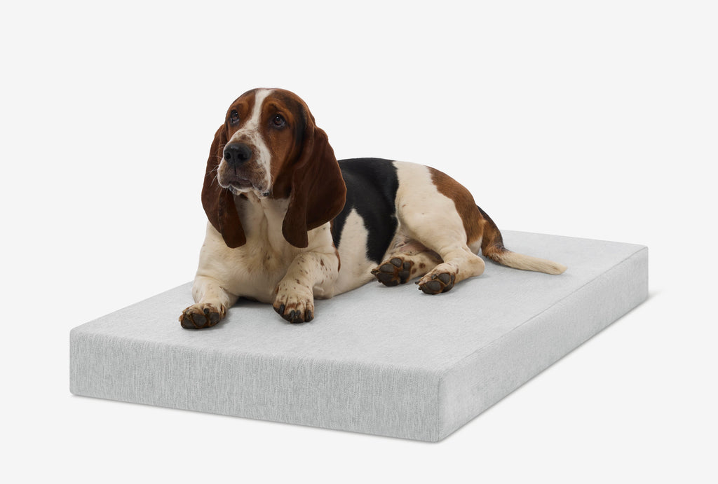 Orthopedic Dog Crate Bed product image 35